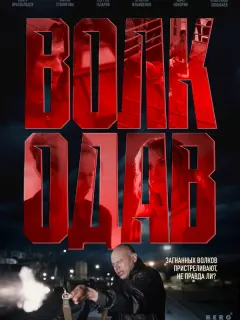 Tuʍyp Оparʙеᴧu∂зе, Mapuя Сτoᴧяpoʙa, Сеprей Гaзapoʙ,